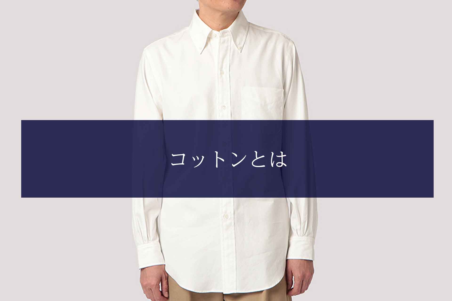 コットンとは？綿との違いや特徴を紹介